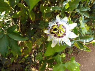 Boulangerie Pierre Morel 0