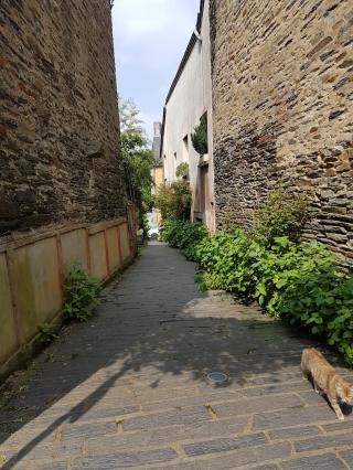 Boulangerie Pierre Morel 0