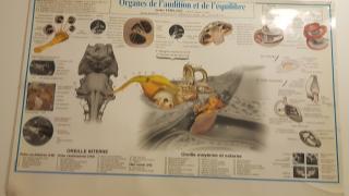 Boulangerie Les délices de la Résidence 1