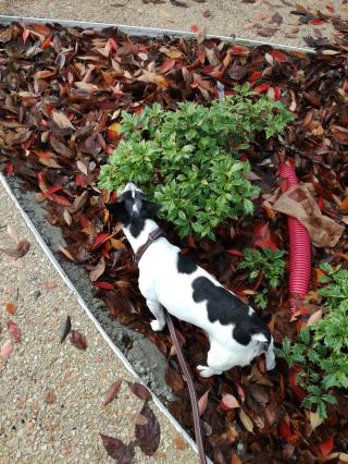 Boulangerie Boulangerie MH - Colomiers 0