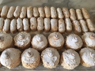 Boulangerie Boulangerie Pâtisserie Clérault 0