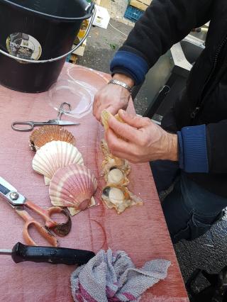 Boulangerie Pâtissier - Chocolatier - Confiseur 