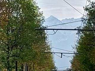 Boulangerie L'Elysée - Boulangerie Pâtisserie Traiteur MAISON RISO 1