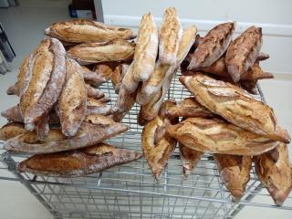 Boulangerie PAINS BIOLOGIQUES 0