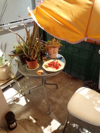 Boulangerie Verloo boulangerie 1