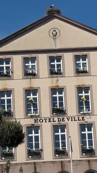 Boulangerie Patisserie Nicolas 0