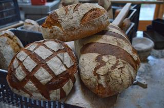 Boulangerie le champ du pain 0