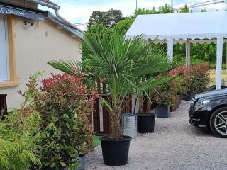 Boulangerie LE LONGCHAMP 0