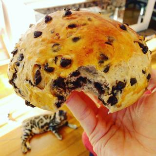 Boulangerie Aux Merveilleux de Fred 0