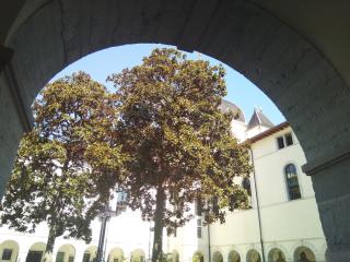 Boulangerie Chocolats Voisin République 0