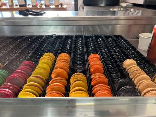 Boulangerie Clos Venturi & Anne Marchetti 0