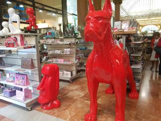 Boulangerie Starbucks 0