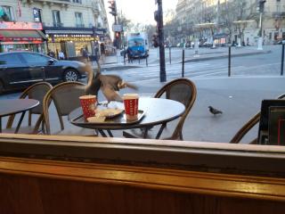 Boulangerie Starbucks 0