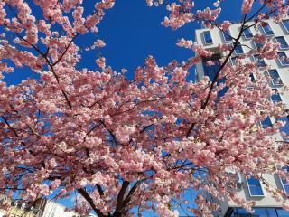 Boulangerie Au Fournil de la Gare 2