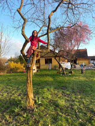 Boulangerie Bar Restaurant Le Repère 0