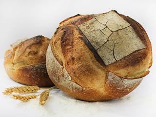 Boulangerie Boulangerie Patisserie Fèbre 1