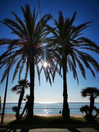Boulangerie Atelier Boulanger 0