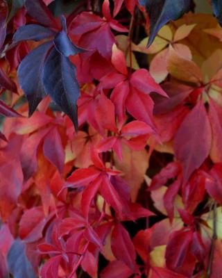 Boulangerie Aux Délices d'Etion 0