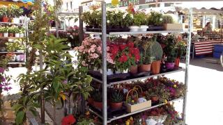 Boulangerie Boulangerie Pâtisserie Sébastien Leblond 0