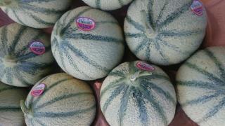 Boulangerie Boulangerie Casado 0