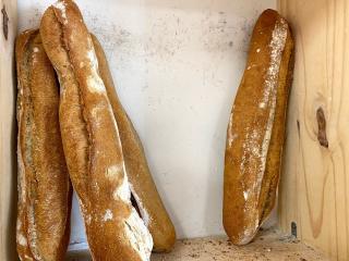 Boulangerie Le Mac Du Pain 0