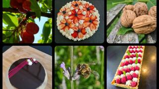 Boulangerie Les Peri-Gourmandises de la ferme de la blogeonie (Pâtisserie sur commande) 0