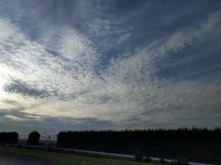Boulangerie La Mie Câline 0