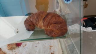 Boulangerie Le Moulin d'Auvergne 0