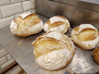 Boulangerie La Mie Câline 2