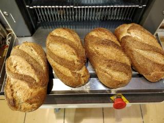 Boulangerie La Mie Câline 0