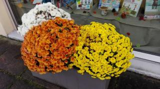 Boulangerie Snc Perrin 0