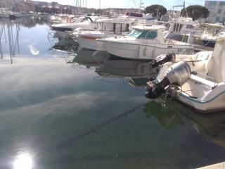 Boulangerie Boulangerie Pâtisserie Regazzoni Selva 0