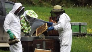 Boulangerie Caprices d'abeille 0