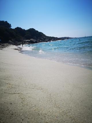 Boulangerie Le Pain D'Abbartello 0