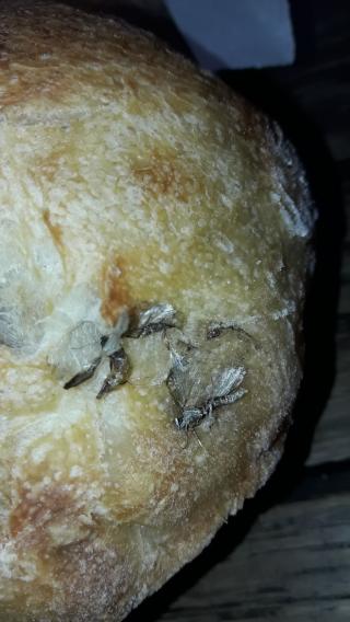 Boulangerie Brangeon Frédéric 0