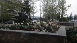 Boulangerie L'atelier Du Pain 0