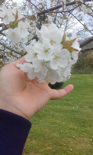 Boulangerie Boulangerie 280° 2