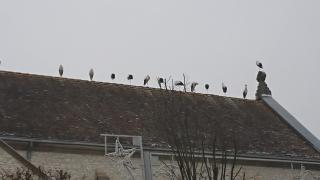 Boulangerie Pâtisserie Boulangerie Vandroux G. 0