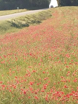 Boulangerie Pâtisserie Boulangerie Vandroux G. 0