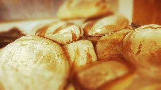 Boulangerie Scop La Ferme aux Sept Grains 0