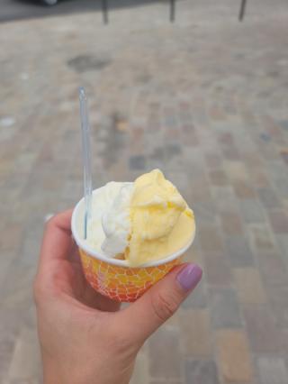 Boulangerie Gelato Paradiso Sarl 0