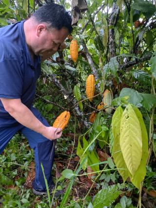 Boulangerie Equacacao 1