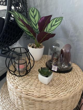 Boulangerie L'Épis Curien 0