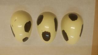 Boulangerie Boulangerie Pâtisserie Houdayer et Cie 0