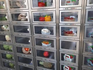 Boulangerie BOULANGERIE COQUELICOT 0