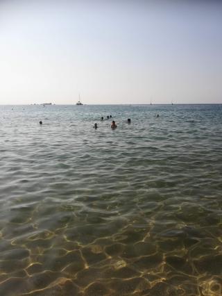 Boulangerie Boulangerie l'Epi d'Or 0