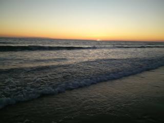 Boulangerie LE BISCUIT 0