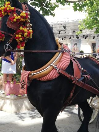 Boulangerie Boulangerie pâtisserie Maison Valette 0