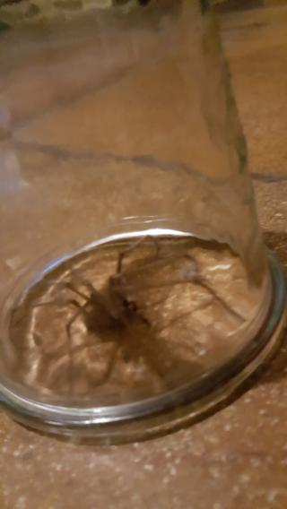 Boulangerie Saveurs de miel 0