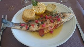 Boulangerie Le S'yntex 0